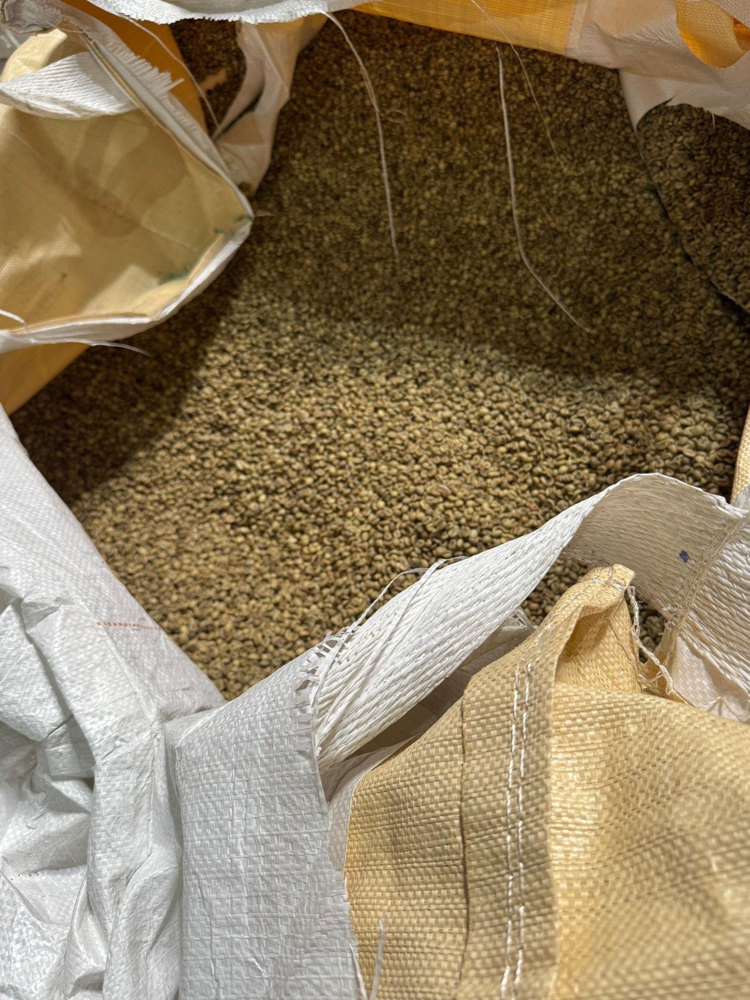 Frisch verarbeitete Kaffeebohnen aus der Produktion von MEE Kaffee. Sorgfältig ausgewählte Rohbohnen bilden die Grundlage für die schonende Röstung und den charaktervollen Geschmack der Kaffeespezialitäten.